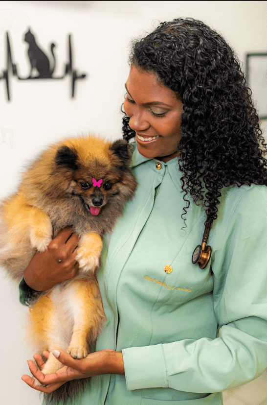 Vacina Landing Image