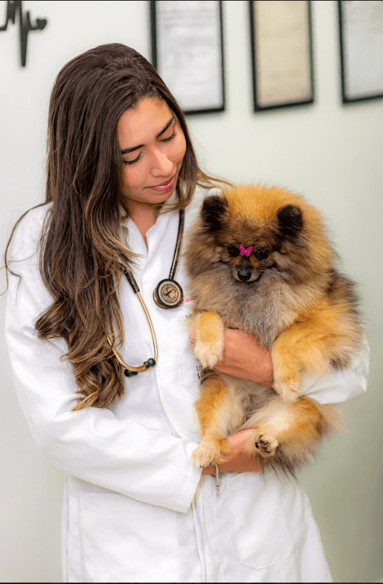 Raio X Landing Image