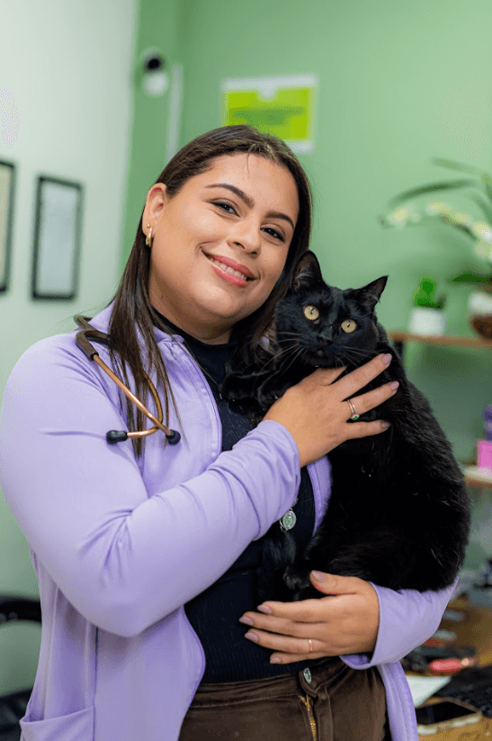 Eletrocardiograma Landing Hero Top Image